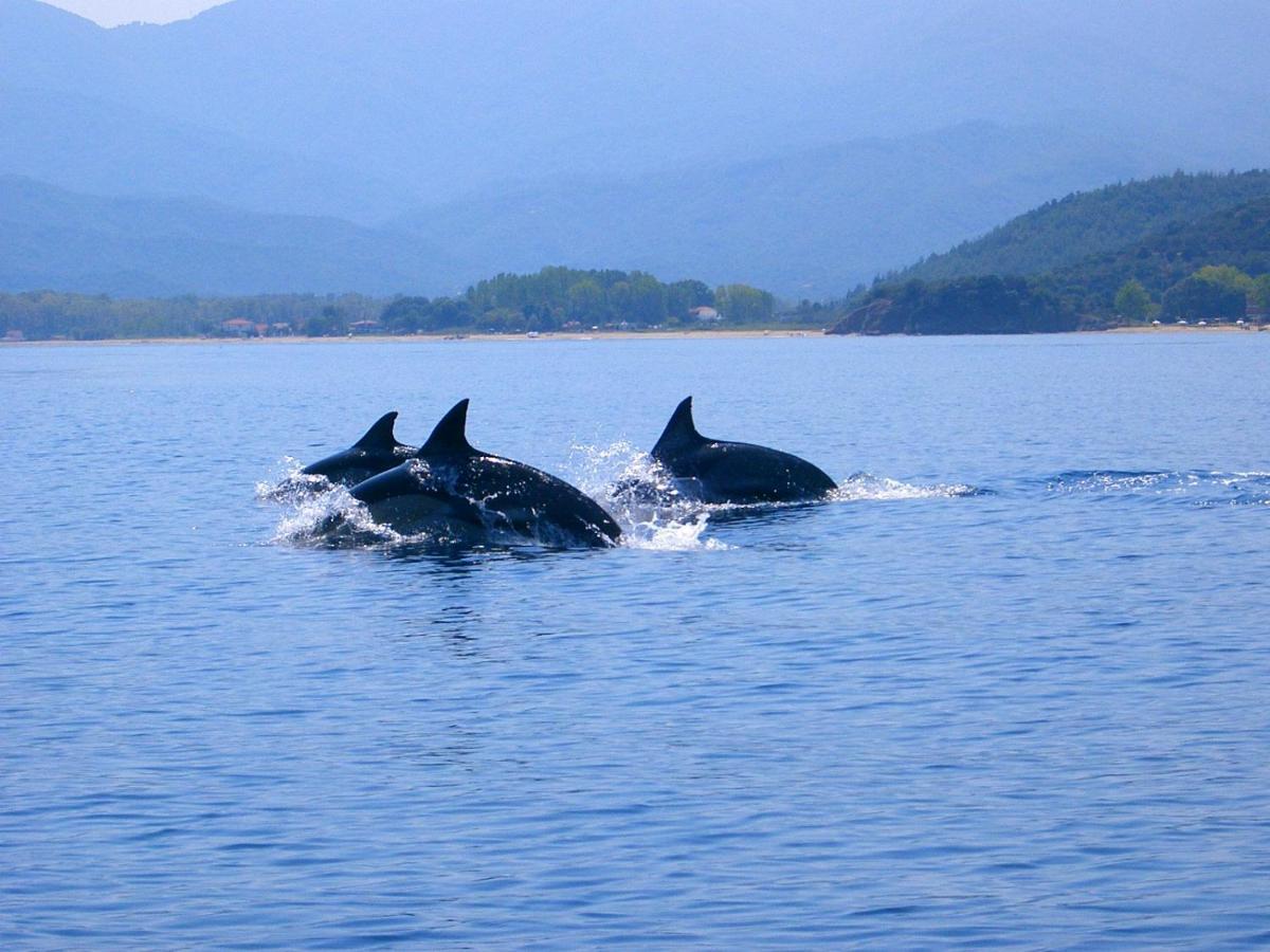 Assamaris Daire Asprovalta Dış mekan fotoğraf
